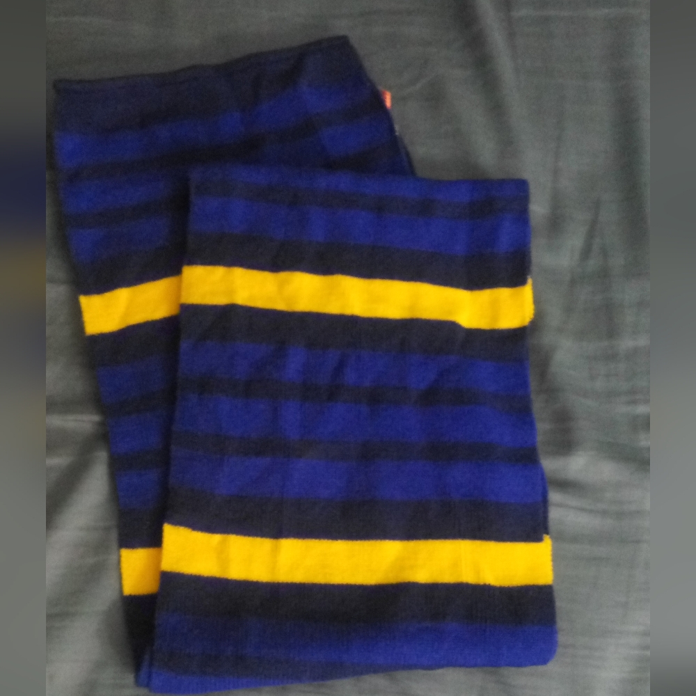 Nickelodeon Paw Patrol Scarf/Multiple Shades of Blue & Yellow Stripes
